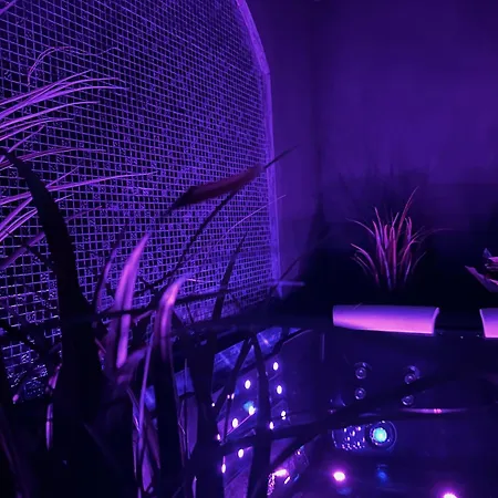 아파트 Au Cocon Des Corbieres - Elegance Lézignan-Corbières