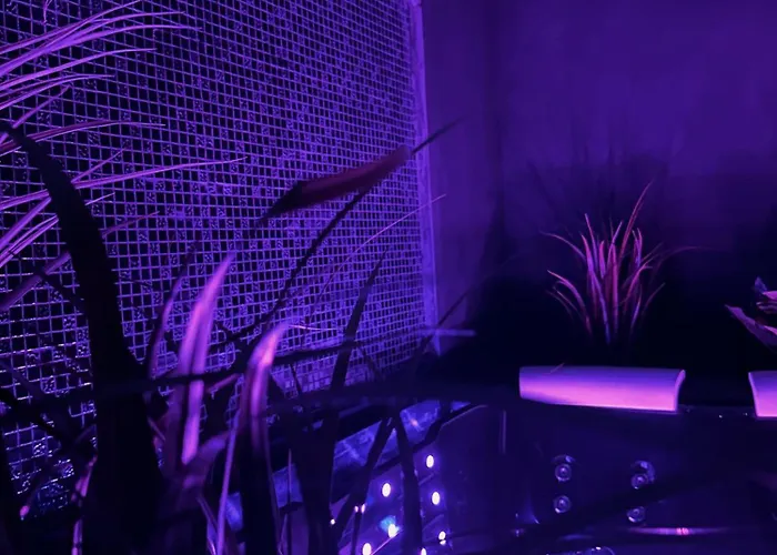 Διαμέρισμα Au Cocon Des Corbieres - Elegance Lézignan-Corbières